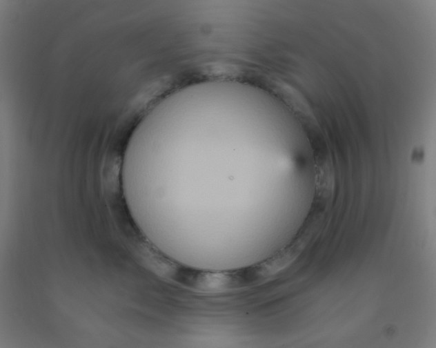 X0000092020717200709271549