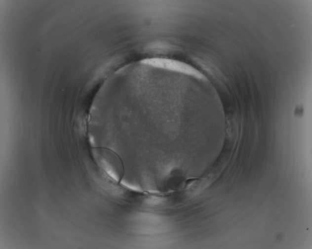 X0000092020718200709271549