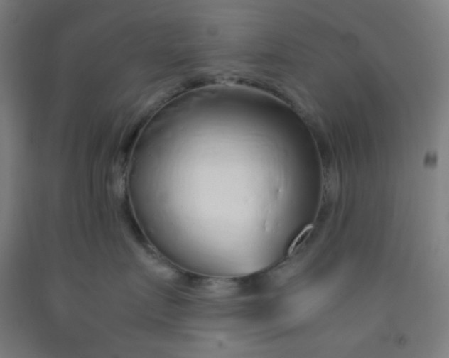 X0000092020719200709271549