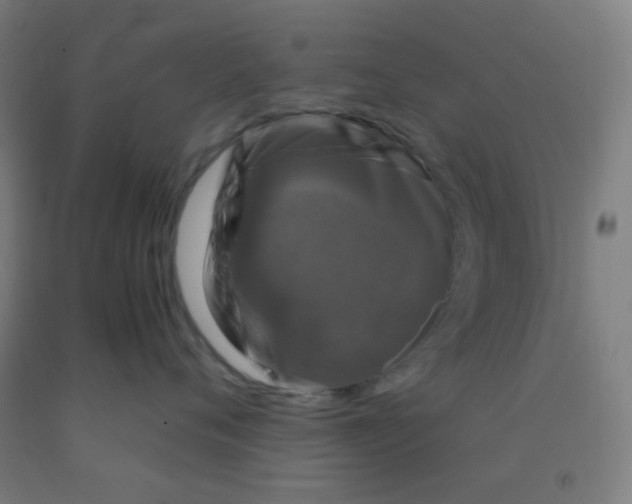 X0000092020720200709271549