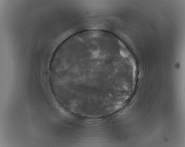 X0000092020721200709271548