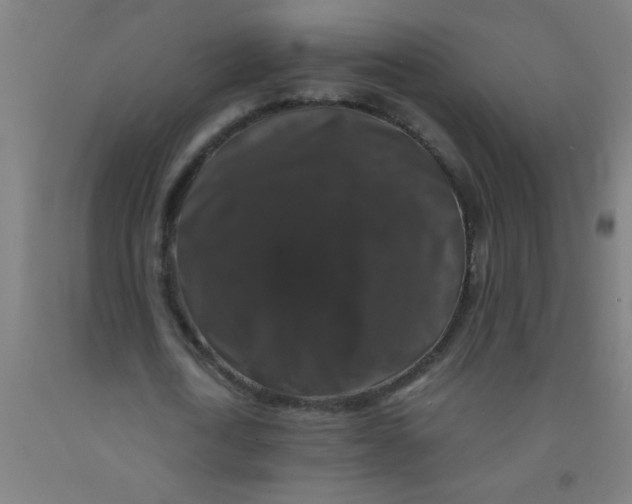 X0000092020722200709271548