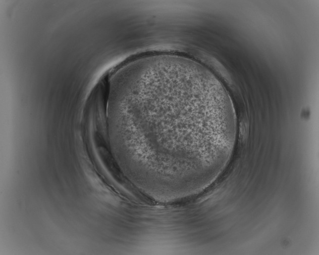 X0000092020724200709271548