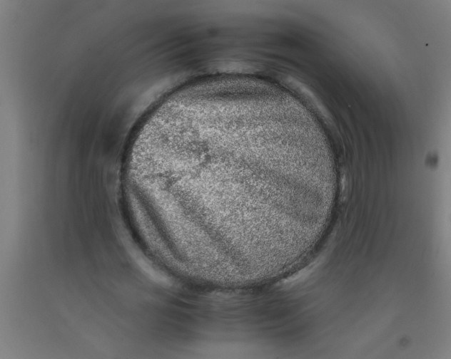 X0000092020725200709271548