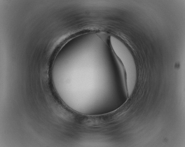 X0000092020727200709271548