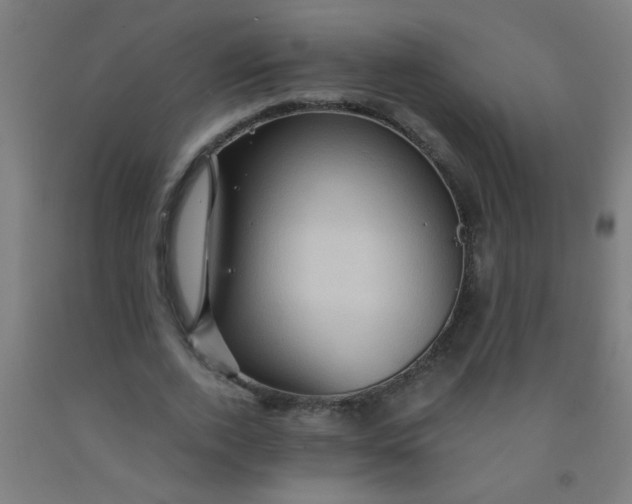 X0000092020728200709271548