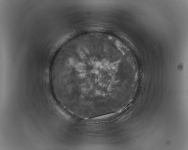 X0000092020729200709271548