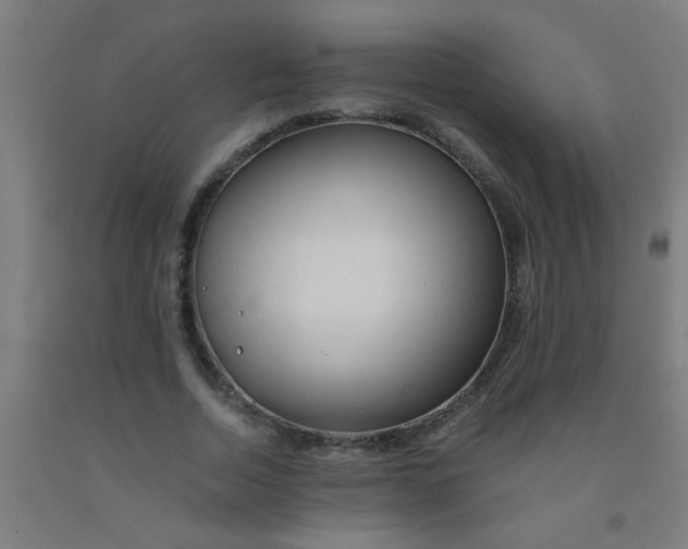 X0000092020730200709271548