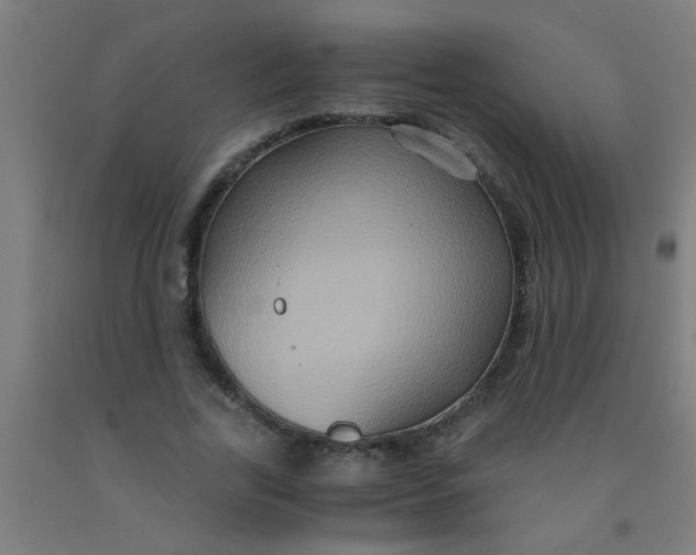 X0000092020731200709271548