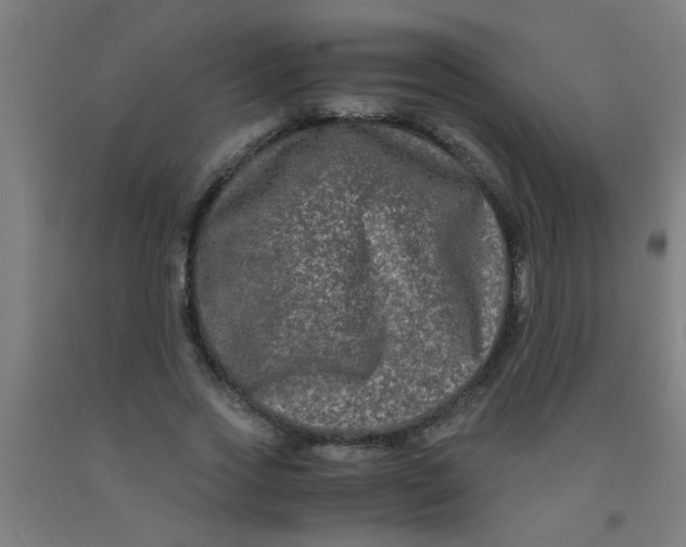 X0000092020733200709271548