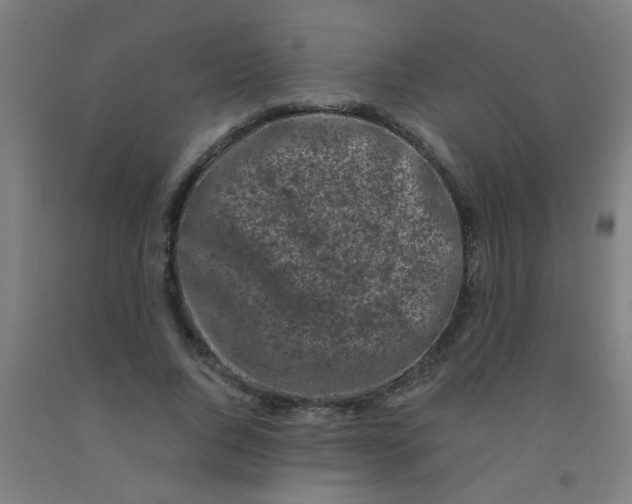 X0000092020736200709271548