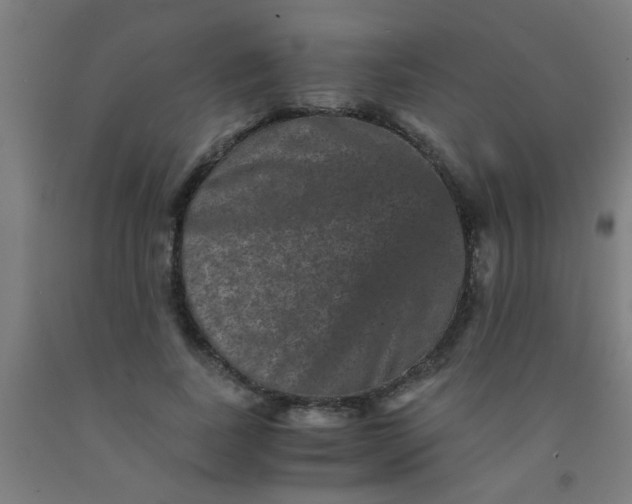 X0000092020739200709271548