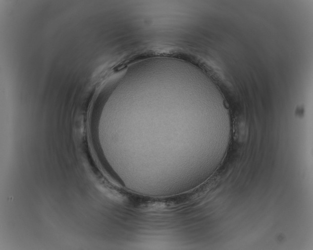 X0000092020740200709271548