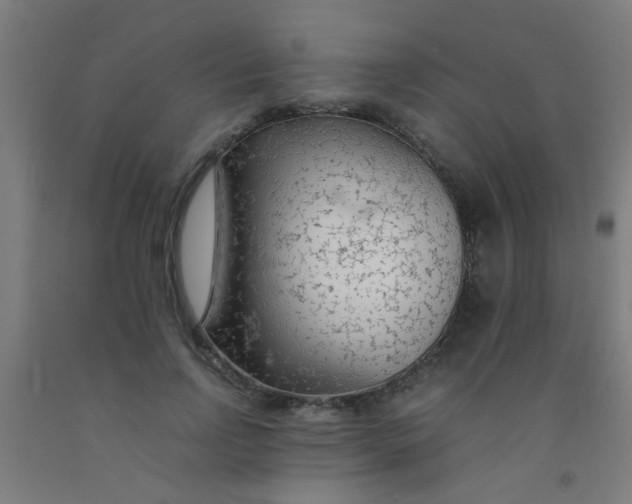 X0000092020742200709271548