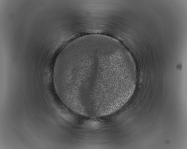 X0000092020743200709271548