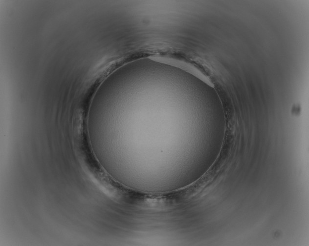 X0000092020744200709271548