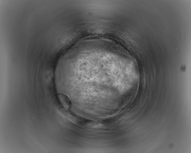 X0000092020747200709271549