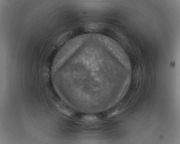 X0000092020749200709271549