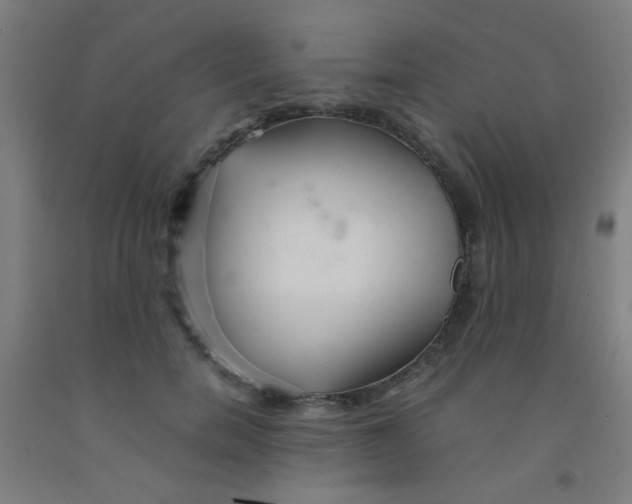 X0000092020750200709271549