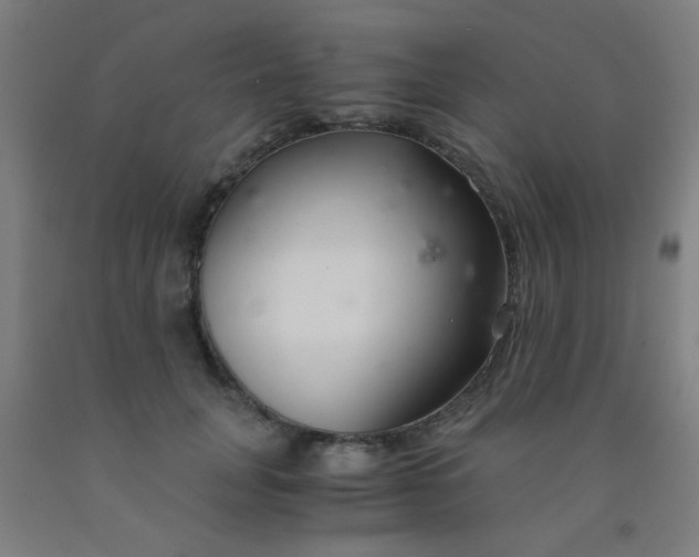 X0000092020751200709271549