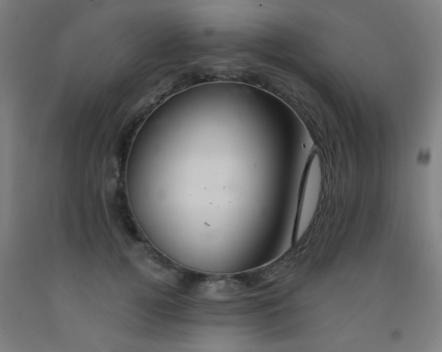 X0000092020752200709271549