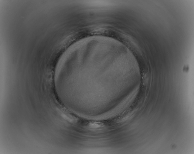 X0000092020753200709271549