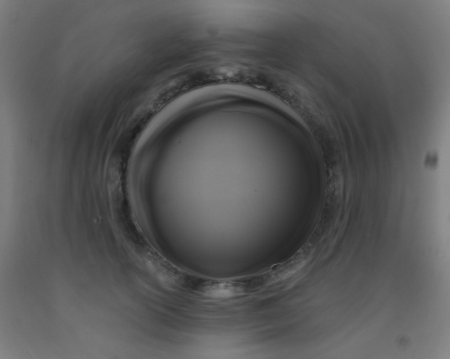 X0000092020754200709271549