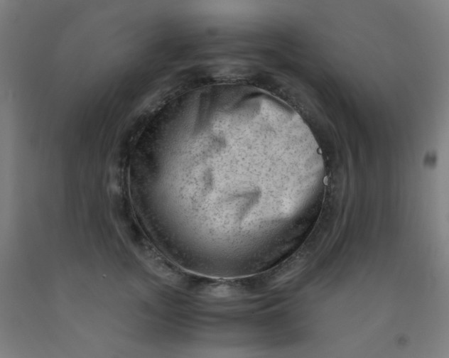 X0000092020755200709271549