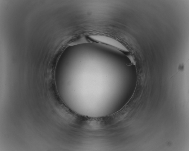 X0000092020756200709271549