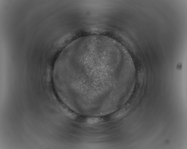 X0000092020757200709271549