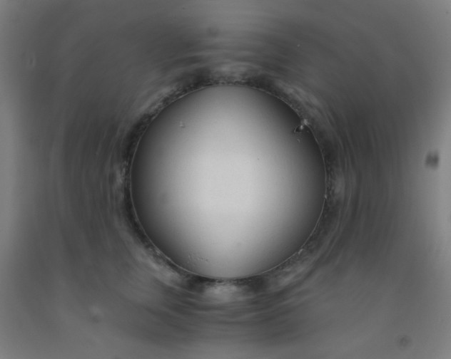 X0000092020759200709271549