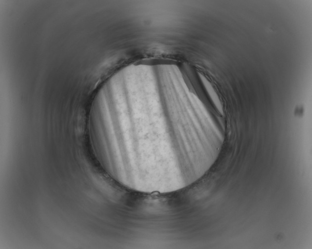 X0000092020760200709271549