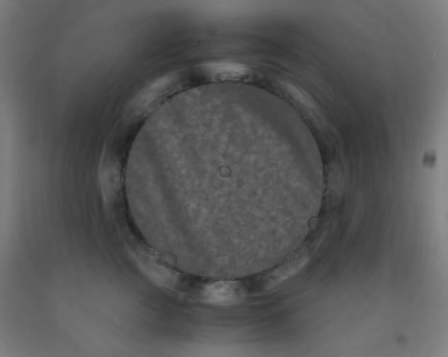 X0000092020761200709271549