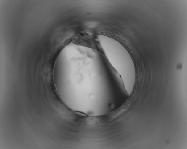 X0000092020762200709271549