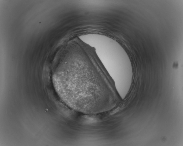 X0000092020763200709271549