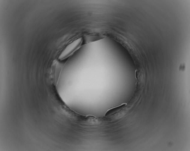 X0000092020764200709271549