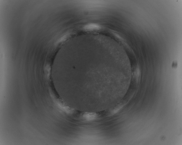 X0000092020767200709271549