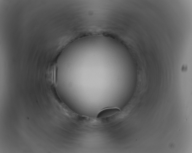 X0000092020768200709271549