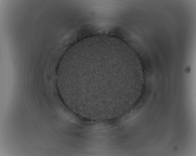 X0000092020769200709271548