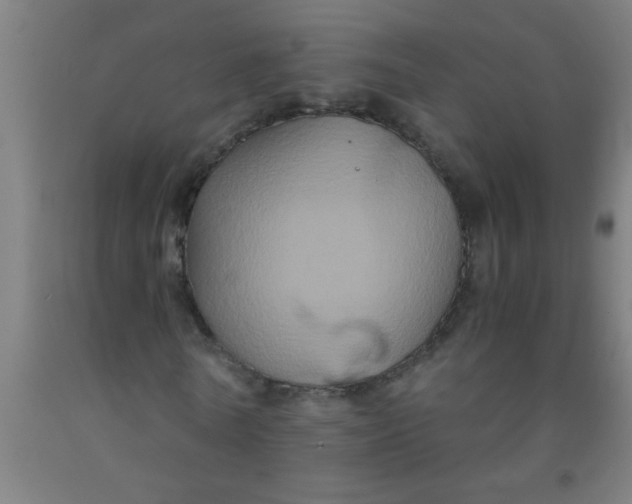 X0000092020770200709271548