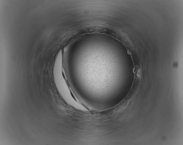 X0000092020771200709271548