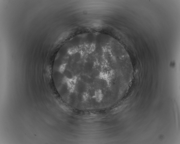 X0000092020772200709271548