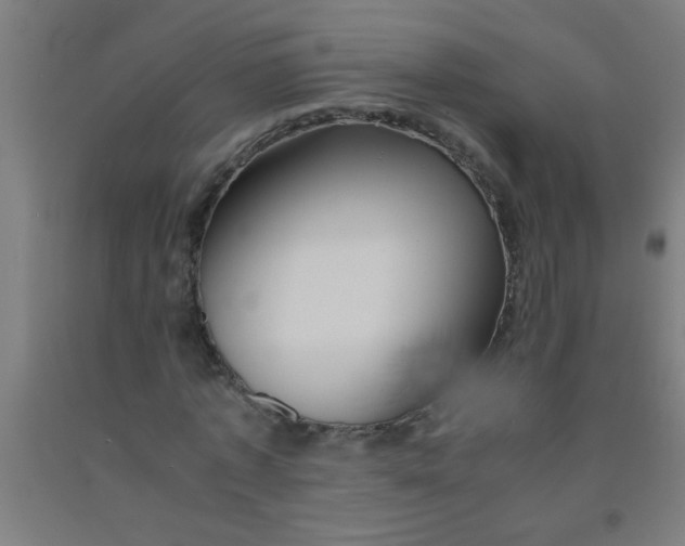 X0000092020773200709271548