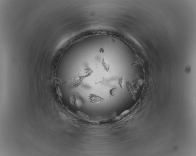 X0000092020775200709271548