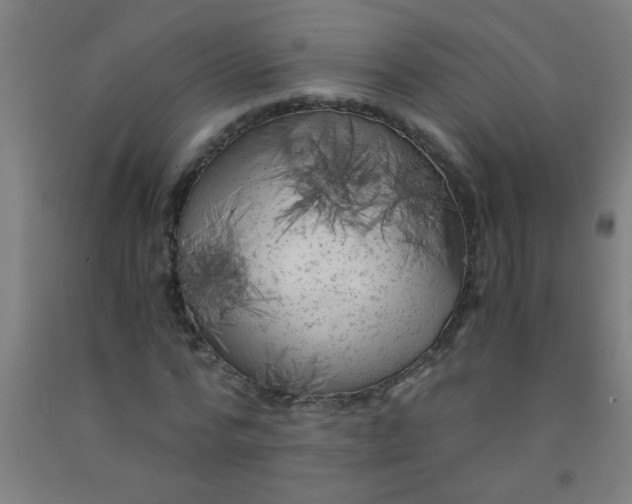 X0000092020776200709271548