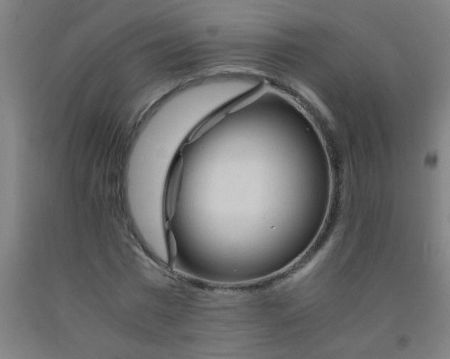 X0000092020777200709271548