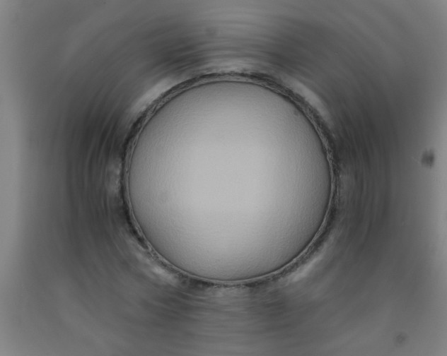 X0000092020778200709271548