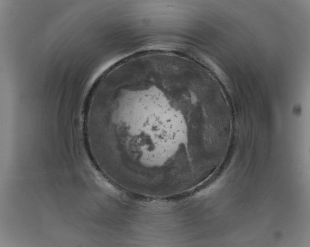 X0000092020779200709271548