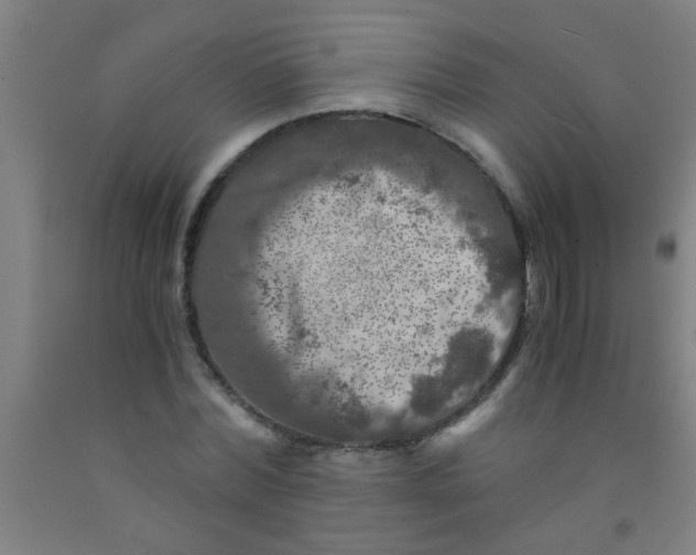 X0000092020780200709271548