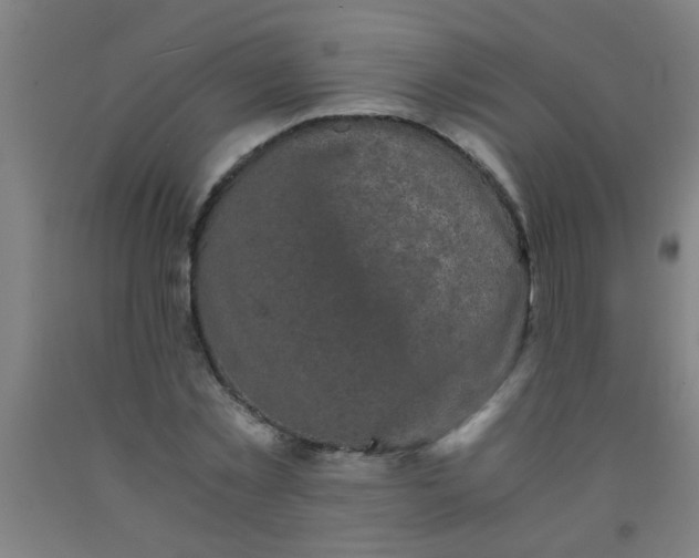 X0000092020781200709271548